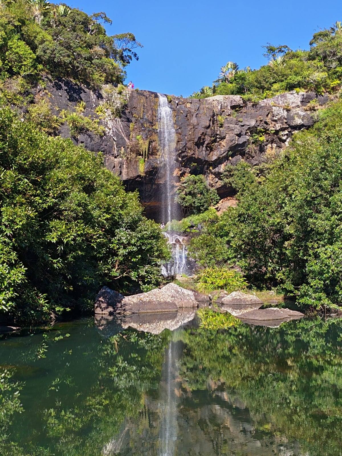 Cascade et bassin naturel entourés de forêt tropicale à Maurice