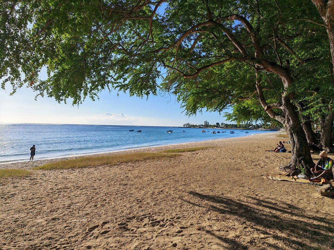 Plage calme à Maurice à l'ombre d'un grand arbre