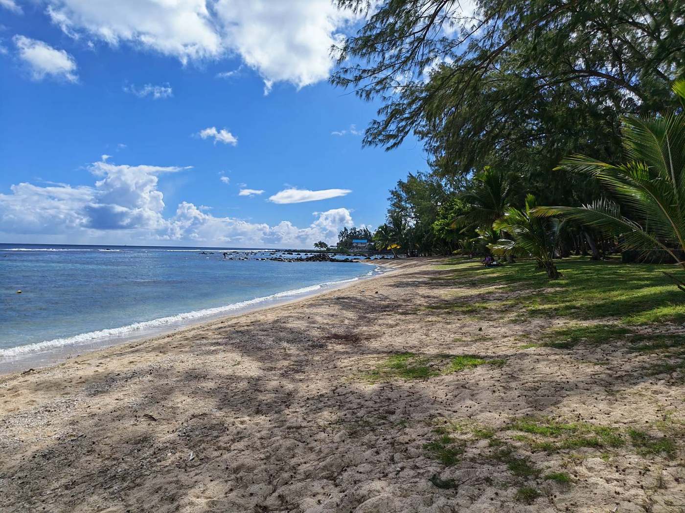 Plage ombragée par les arbres au bord du lagon à Maurice