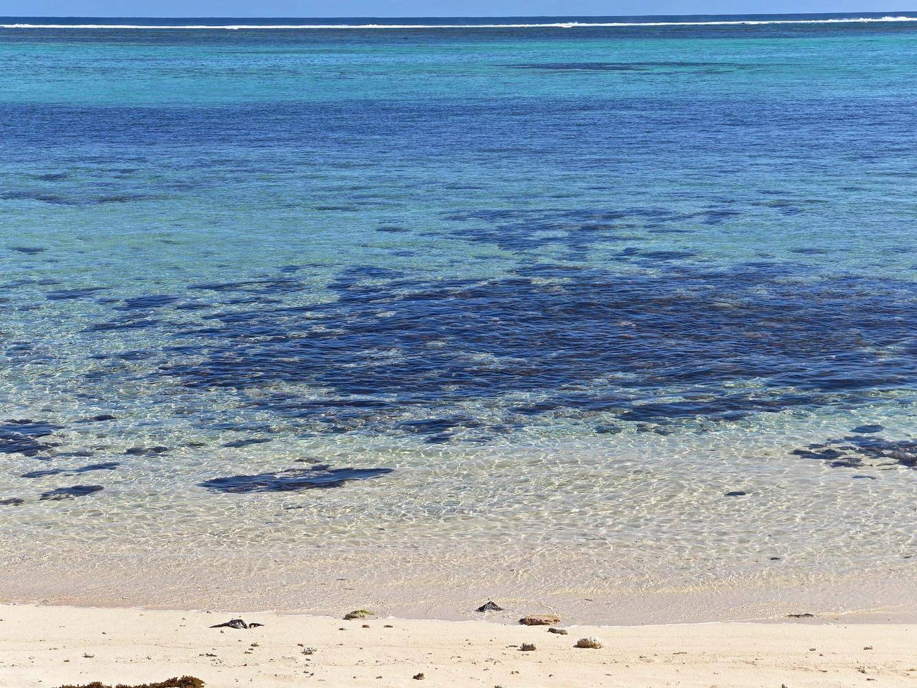 Eau turquoise du lagon et récif corallien à Maurice