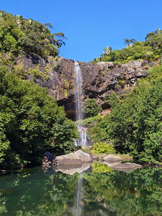 Une cascade et son bassin, en pleine forêt