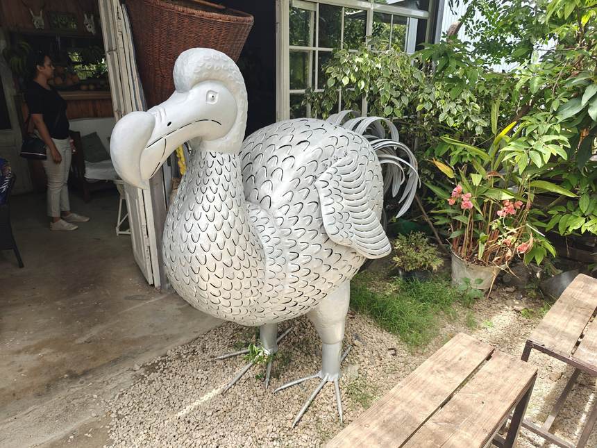 Le dodo, disparu au XVIIe siècle, reste l’emblème de l’île