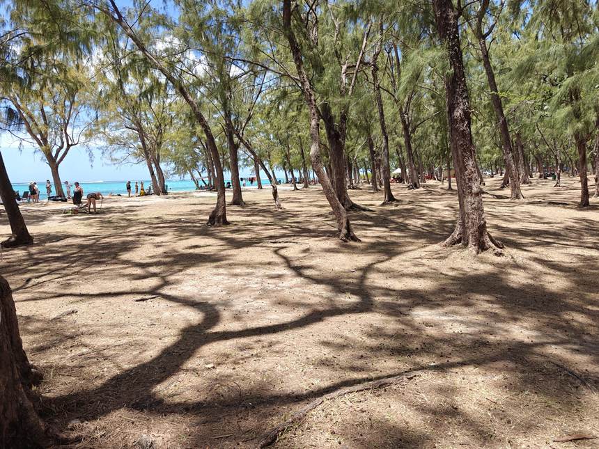 Sous les filaos, l’ombre à deux pas de l’eau