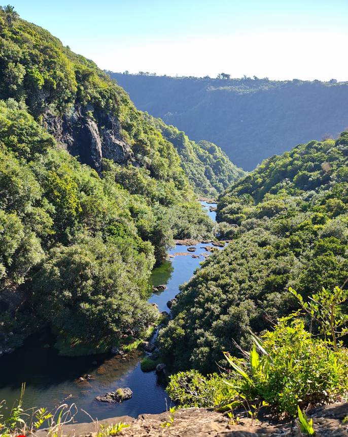 Vue plongeante sur la rivière au fond de la gorge
