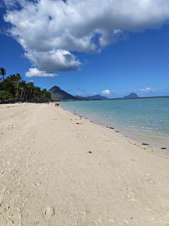 L’Ouest : la plage, côté Wolmar